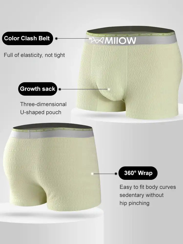 Pack 4 Culottes en Coton Antibactérien pour Hommes